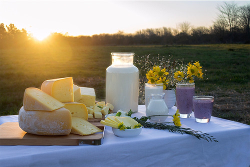 Yogures Y  Leches Orgánicas De La Choza Granja Biodinámica