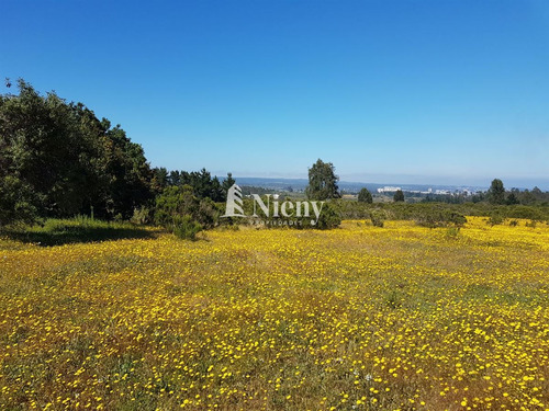 Sitio De 8,16 Ha En Venta En Algarrobo, V Region