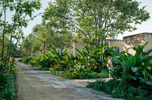 Terreno En Venta En Hacienda San Eduardo, Telchac, Yucatán