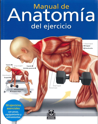  Libro Manual De Anatomía Del Ejercicio  -  Ashwell, Ken 