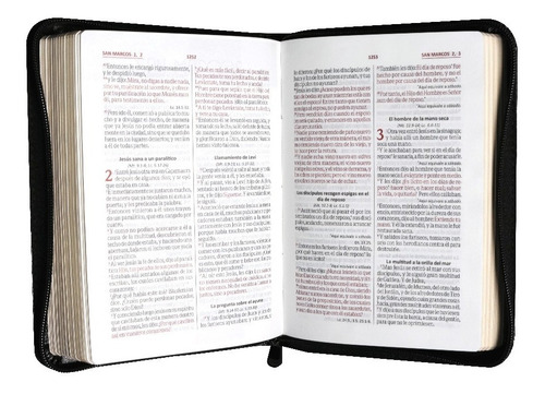 Imagen 5 de 5 de Biblia Rvr1960 Letra Grande Imit. Piel Negro C/cierre (6486)