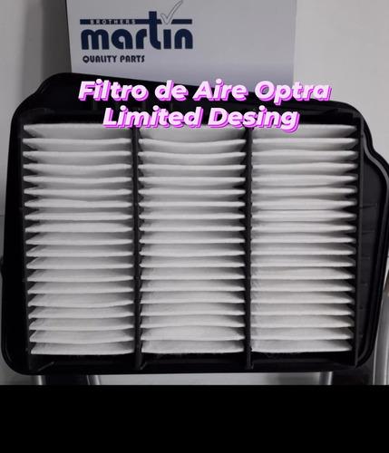 Filtro Aire Brothers Martin Optra Limited Desing 