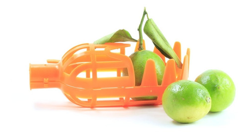 Recolector De Frutas