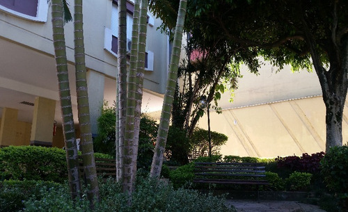 Imagem 7 de 19 de Apartamento Petropolis Porto Alegre - 1373