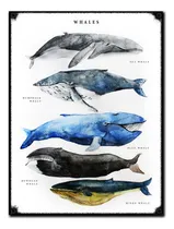 Comprar Cuadros Vintage Pesca Peces Pez Mar Rio Cartel No Chapa Koi