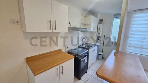 Arriendo Depto 3d 1b, Ongolmo Con Bulnes, Concepción