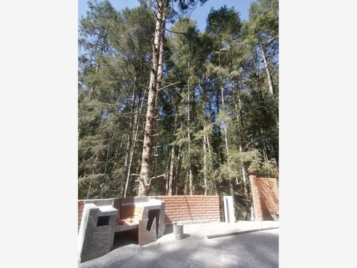 Imagen 2 de 12 de Terreno En Venta Centro