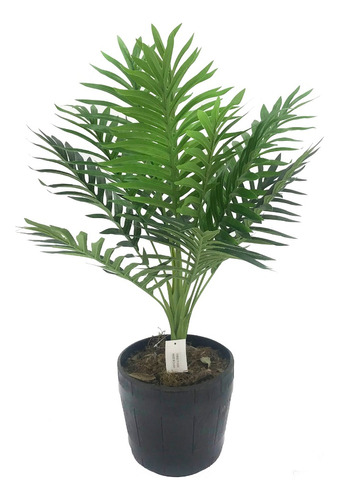 Planta Palmera De 85 Cm