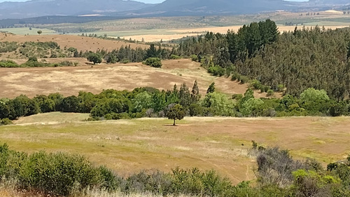 Venta Parcela 5000mts San Nicolás