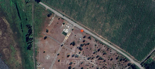 Sitio 2.000 M2 En Quillon