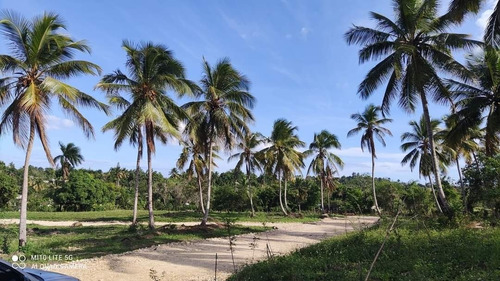 Imagen 2 de 9 de Solares En Proyecto Cerrado Cambita Sterling San Cristobal Republica Dominicana