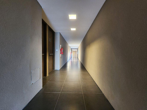 Departamento Amolado En Alquiler.