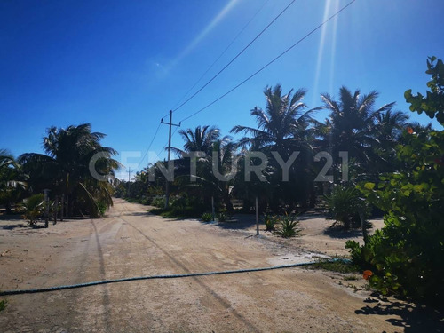 Oportunidad!!se Vende Terreno Frente Al Mar Mahahual-rio Indio P1200