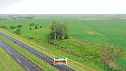 Imagen 15 de 30 de 24 Has Sobre Autovía Ruta 14 Colonia Elia Entre Ríos