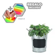 Comprar Cubo Con Anotacion Rectangular Plateado Y+post-it Adhesivos