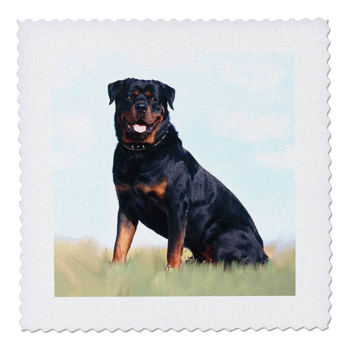 Qs _ 4367 Perro Rottweiler Colcha Squares