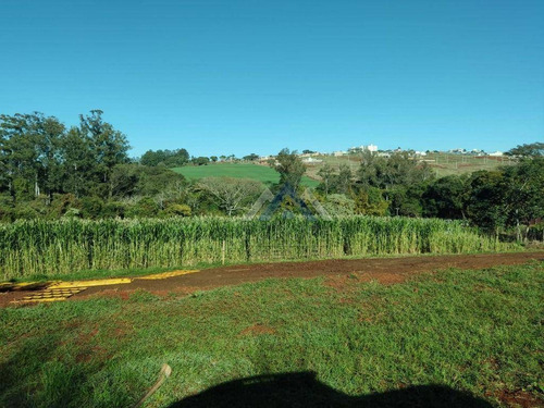 Imagem 7 de 12 de Chácara À Venda, 17000 M² Por R$ 1.000.000,00 - Jardim Costa Do Sol - Rolândia/pr - Ch0215