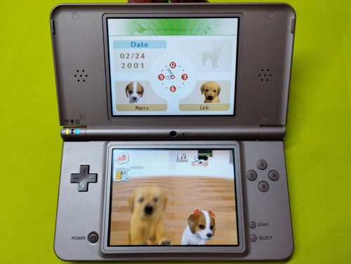 Nintendogs Dachshund And Friends Ds Nds 3ds 2ds (Usado)