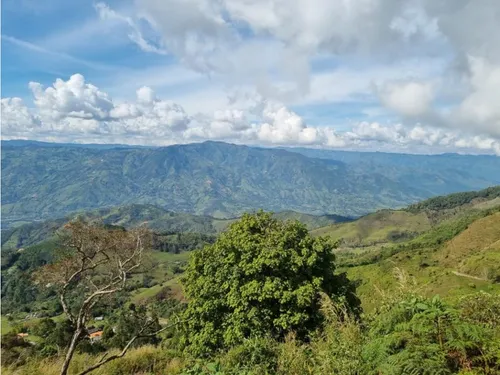 Lote En Vender En Barbosa