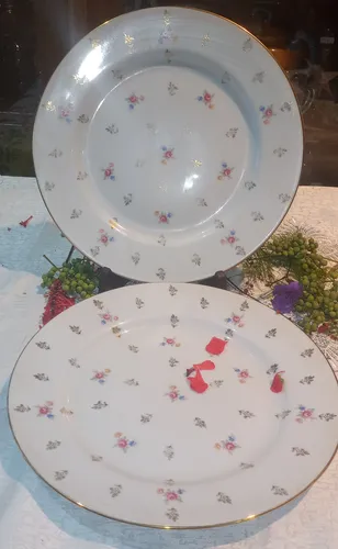 comprar Antiguo Par De Platos Maciteros Porcelana Tsuji 27cm N113
