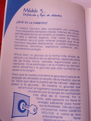 Para Padres De Niños Con Dm1 Ma Eugenia Ochoa Mendoza (Usado)