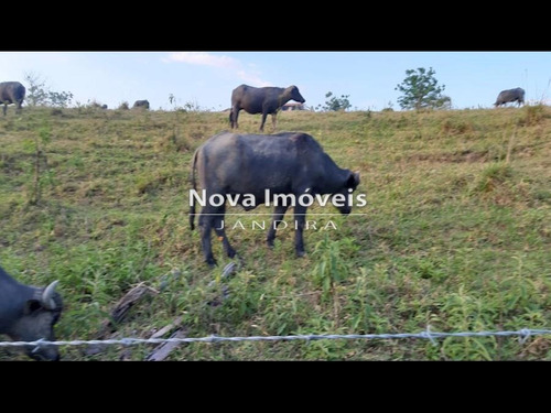 Imagem 5 de 13 de Sitio Em Aracoiaba Da Serra - 1318