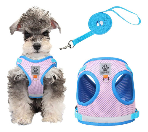 Dog Harness And Leash For Small Dogs No Pull, Step-in Soft D