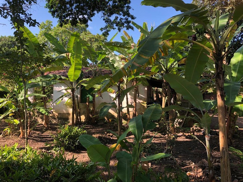 Imagem 30 de 30 de Chácara À Venda, 3664 M² Por R$ 540.000,00 - Aldeia - Camaragibe/pe - Ch0025