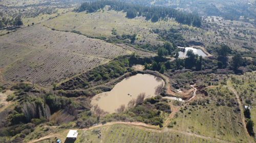 Se Vende Campo En Litueche Con 5 Tranques Y 2 Vertientes