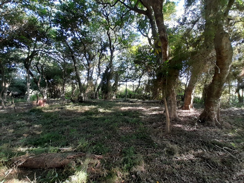 Vendo Pequeño Bosque Sobre El Río Corriente En La Ciudad De Esquina!!!!