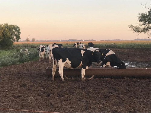 Imagen 25 de 30 de Campo De 173 Hectáreas - Gral. Las Heras - Buenos Aires