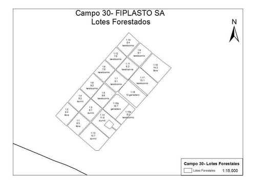 Imagen 2 de 5 de Campo - Carmen De Areco