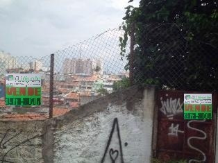 Terreno Para Venda, 0.0 M2, Vila Palmeiras - São Paulo - 1291