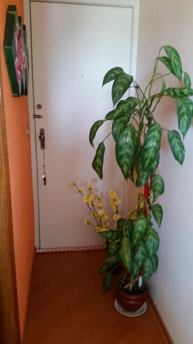 Apartamento Com 3 Dormitórios À Venda, 85 M² Por R$ 350.000,00 - Jardim São Dimas - São José Dos Campos/sp - Ap5278