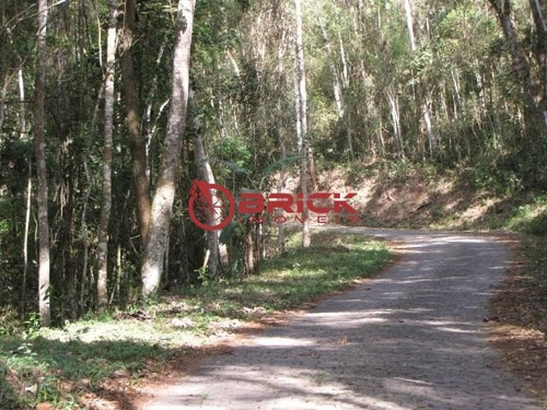 Imagem 3 de 10 de Ótimo Terreno Em Aclive De 2.330 M² Na Fazenda Suíça - Te00303 - 34701416