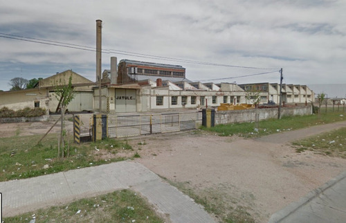Alquiler. Local 6000 M2 Edif. Sobre 20.000 M2. Sayago