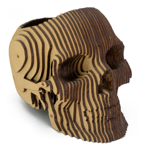 Figura 3d En Madera, Calavera Portaobjetos