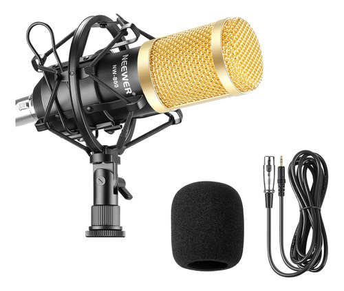 Micrófono Para Radio Y Grabación Neewer Nw-800 Profesional