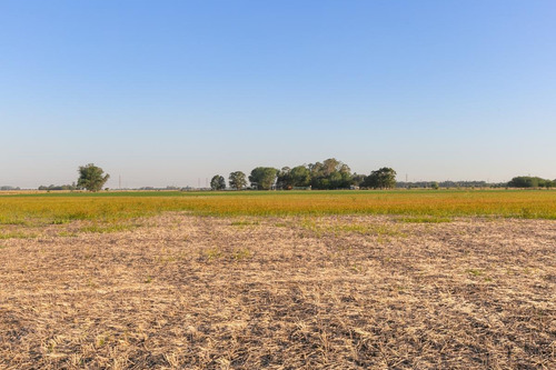 Imagen 27 de 30 de Oportunidad De Chacra Más Campo -18ha - En Virrey Del Pino