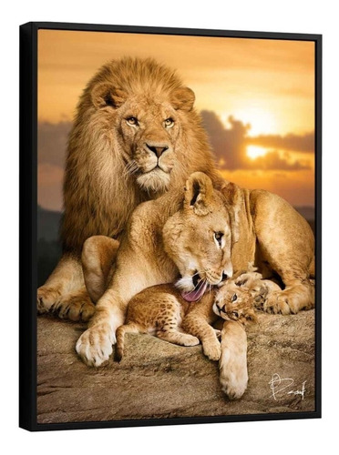 Quadro Família De Leões 1 Filhote 128x170cm Moldura + Vidro