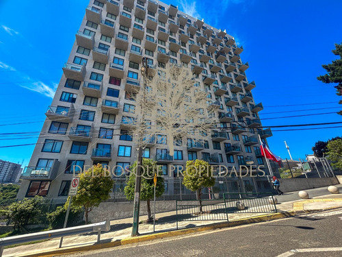 Arriendo Departamento En Mirador Placeres Marzo A Diciembre