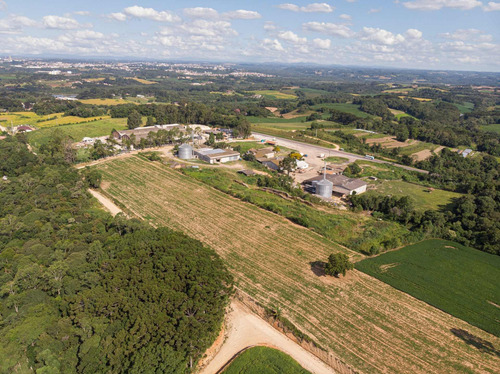 Imagem 6 de 17 de Terreno/ Área 20.000m² A Venda Em Araucária Pr. - Te00002 - 68828711