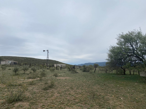 Rancho En Venta En Villa Hidalgo Durango