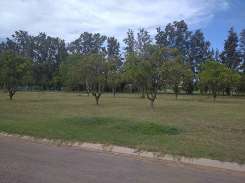 Imagen 2 de 9 de Azahares Del Paraná, Lote Con Cama Náutica