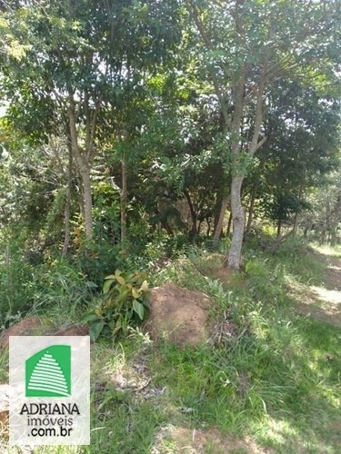 Venda Chácara De Lazer Com Área De 24.000 M² Com Nascente Dágua - 5901