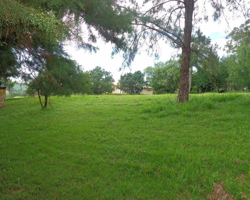 Imagem 4 de 6 de Terreno - Te00348 - 31964839