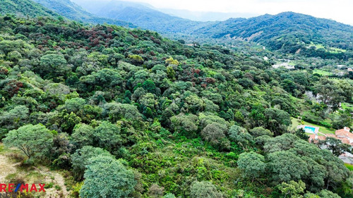 Terreno 1 Ha Venta Finca Castellanos San Lorenzo.