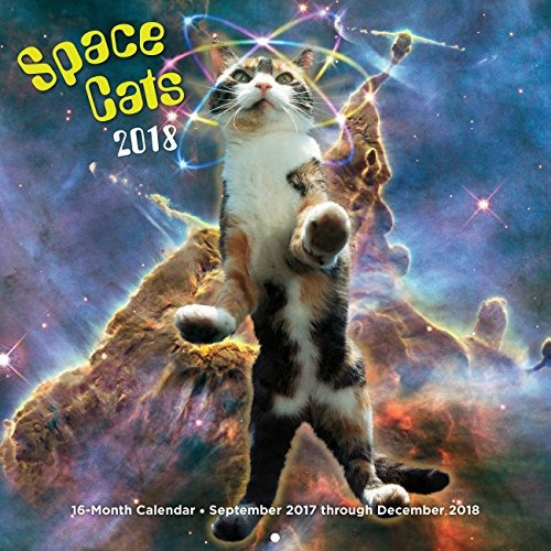 Space Cats 2018 16 Month Calendar Includes September 2017 Th