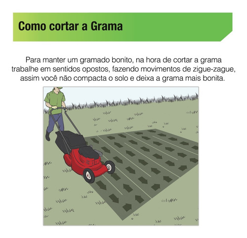 Cortador De Grama 6 Hp 4t Com Óleo Roda Alta Rm600g Trapp