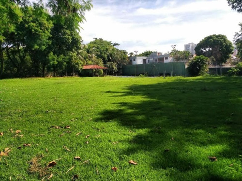 Imagem 3 de 14 de Terreno - Lri1135 - 32804973